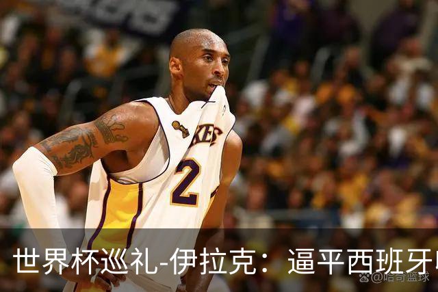 世界杯巡礼-伊拉克：逼平西班牙收获信心，伊拉克雄狮为尊严而战